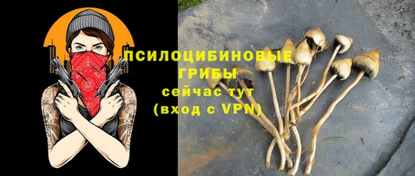 молекула духа Бугульма