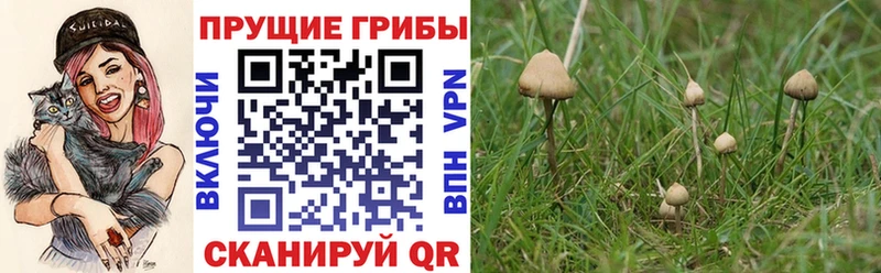 Галлюциногенные грибы мицелий  как найти наркотики  МЕГА маркетплейс  Разумное 